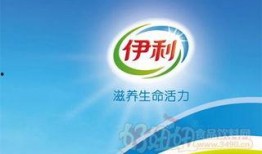 伊利最新爆料新闻,揭秘乳业巨头背后的秘密与挑战